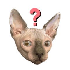 ハビビスタンプ