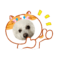 chibi_20260124032839