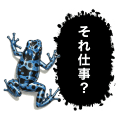 Hyakushiki_20260124103428