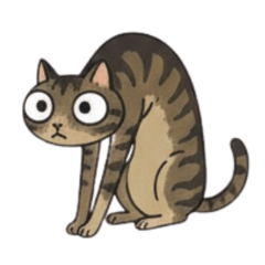 行為怪異的畸形鬼祟小貓咪