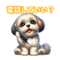Simply Adorable Shih Tzu