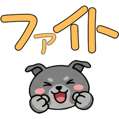 อิตาเลียนเกรย์ฮาวด์ สุภาพ 24th