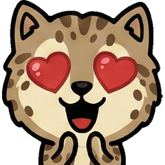 แมวลายจุด โอเวอร์  1st