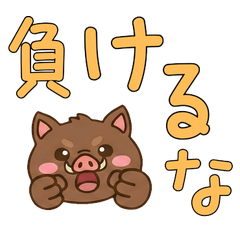 หมูป่า สุภาพ 23rd