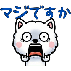 แมวเมนคูนสุภาพขยับ 6th