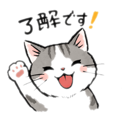 yuruneko_20260124163443