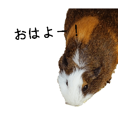 suimin_20260124172430