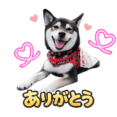 bannan_20260124180523