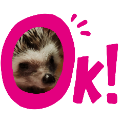 JURAmama_20260125143336