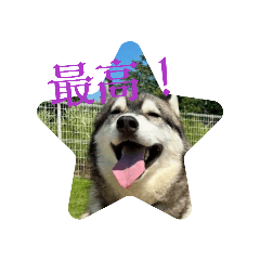 yuka_20260125144817