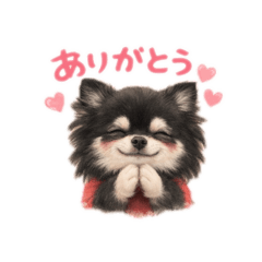 wanwan SI