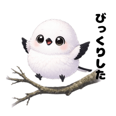 Big-Eyed Fluffball: Cute Snow Fairy Bird