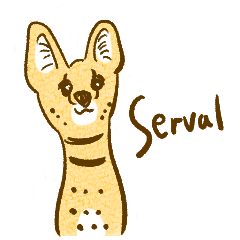 Friendly Serval