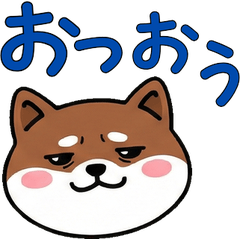 เพียงพอนเล็ก ดุ๊กดิ๊ก 22nd