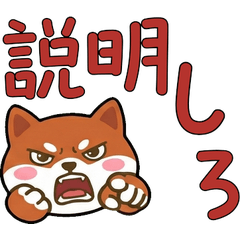 อเมริกันสแตฟฟอร์ดดุ๊กดิ๊ก  22nd