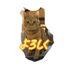 ちょびっと使える猫スタンプ