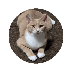 Love Uri_20260124202419