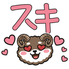 แกะอาร์กาลิ ดุ๊กดิ๊ก 22nd