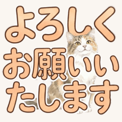 Cute Minuet Cat [Big Text & Polite]