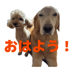 kumasan_20260124214038