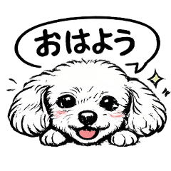 R's mam_20260125205435