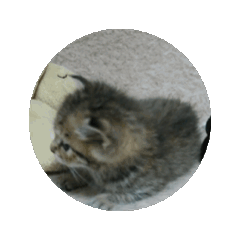 Love Uri_20260124230510