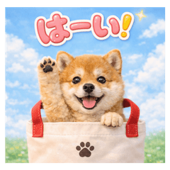 かわいい犬たち❤柴犬❤毎日使える