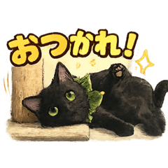 Yushin_20260124233900