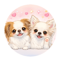 ブラン&amp;プティ第2弾♡