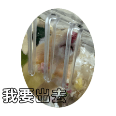 rrrry_20260125061809