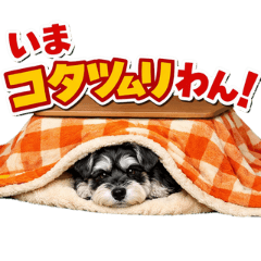 愛犬シュナウザーのあるある(？)スタンプ