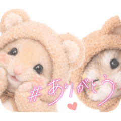 hiro suke_20260126063027