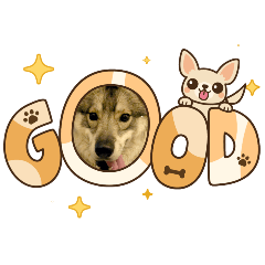 makoto_20260126075808