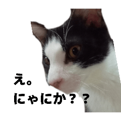 hirop-_20260126111035