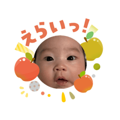nans_20260126113824