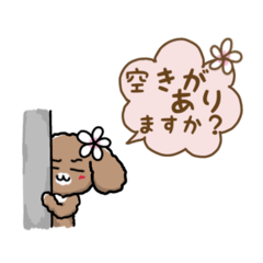 Puamelia_20260125000400