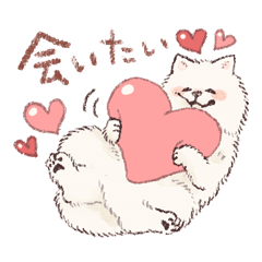 気持ち伝えるもふもふサモエドさん