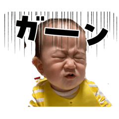 MIKAN_20260125222754