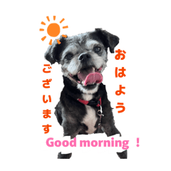 soramame_20260126095353