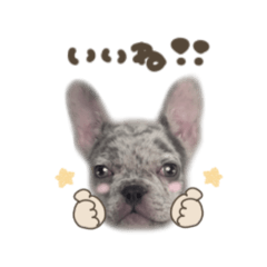 ゼウスくん☆2mix