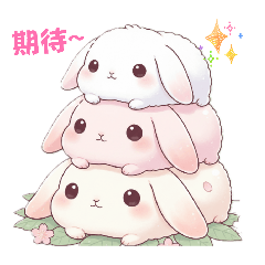 小兔子的可愛日常