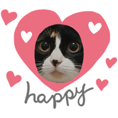 Atmint_20260125180300