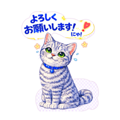 silver cat_20260125195759