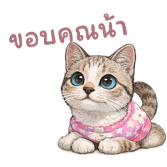 CookieRabbit_20260125204143