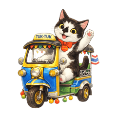 meokhaaodam_20260125210623