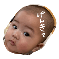 mipopo_20260125234758