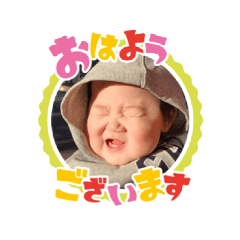 ginchan_20260126022226