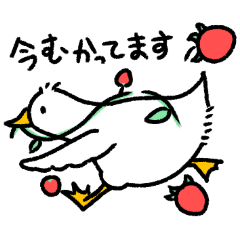 asumi_20260125230144