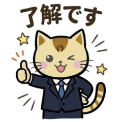 Skoneko Business Version