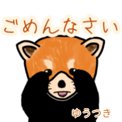 Yuutsuki's lesser panda